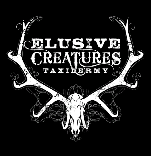 Elusive Creatures Taxidermy